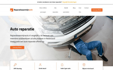 reparatieaanmijnauto.nl screenshot