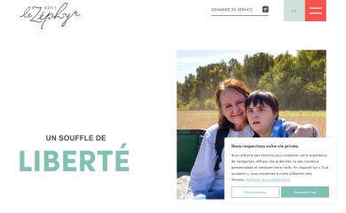 repitlezephyr.com screenshot