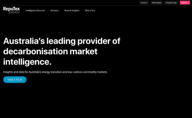 reputex.com screenshot