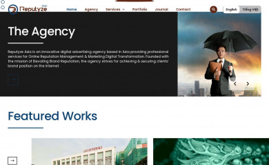 reputyze.asia screenshot