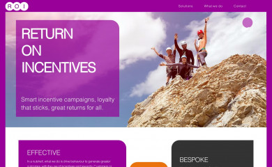 returnonincentives.co.uk screenshot