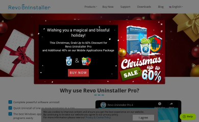 revouninstaller.com screenshot