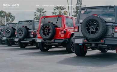 revivermx.com screenshot