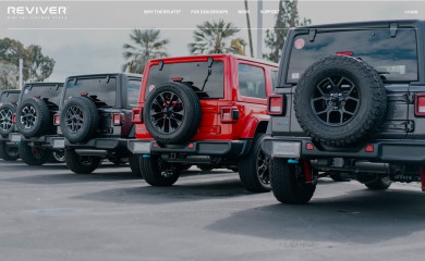 revivermx.com screenshot