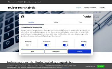 revisor-regnskab.dk screenshot