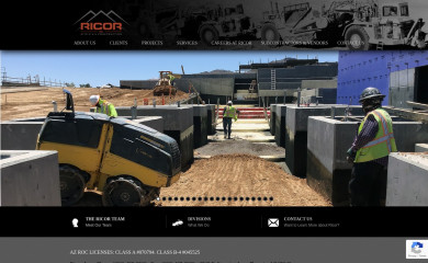 ricorinc.com screenshot