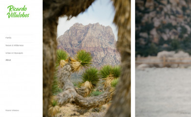ricardojvillalobos.com screenshot