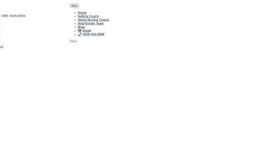 richardnancerealestateteam.com screenshot