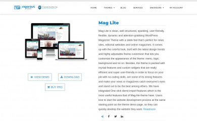 http://rigorousthemes.com/downloads/mag-lite screenshot