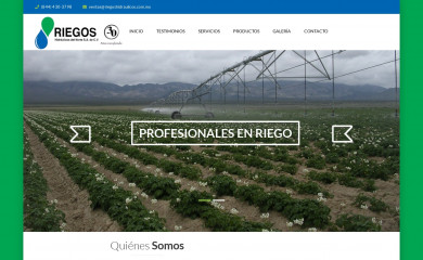 riegoshidraulicos.com screenshot