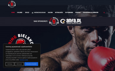 ringbielsko.pl screenshot