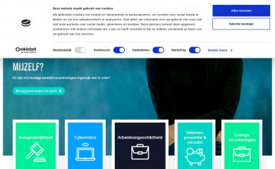 risicoinzicht.nl screenshot