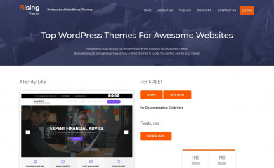 https://risingthemes.net/shop/alacrity-lite/ screenshot