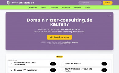 ritter-consulting.de screenshot