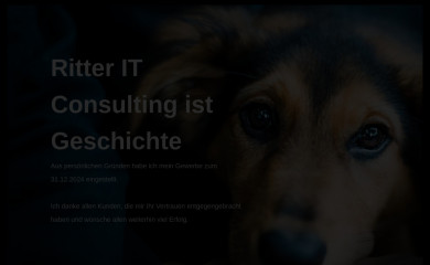 ritter-it-consulting.de screenshot