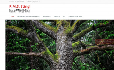 rms-stingl.at screenshot