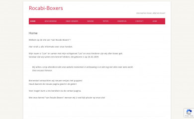 rocabi-boxers.nl screenshot