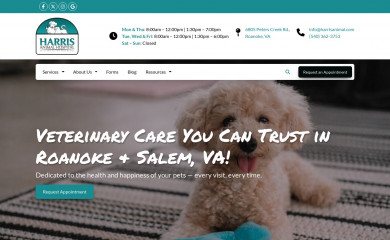 roanokevet.com screenshot