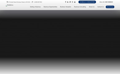 robbinex.com screenshot