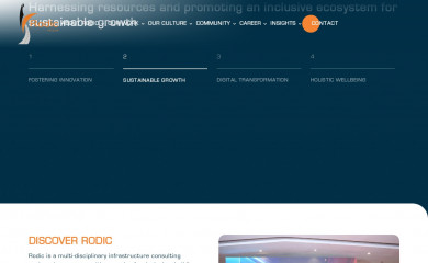 rodicconsultants.com screenshot