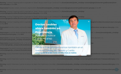 rodrigoloubies.cl screenshot