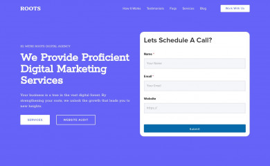 rootsdigitalagency.com screenshot
