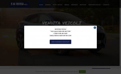 rossiveicoli.it screenshot