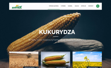 rotex.biz.pl screenshot
