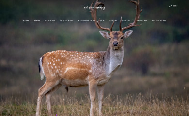 rpl.ro screenshot