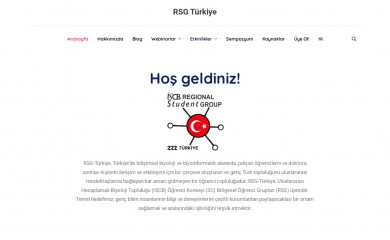 rsgturkey.com screenshot