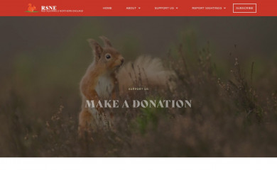 rsne.org screenshot