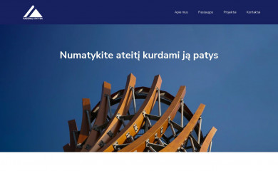 rstatyba.lt screenshot