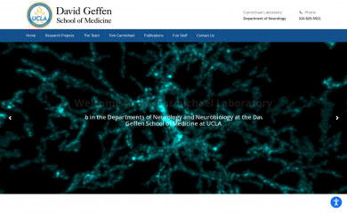 stcarmichaellab.com screenshot