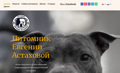 staffi.club screenshot