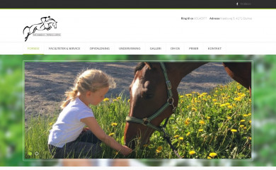 stald-langdyssen.dk screenshot