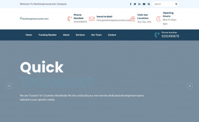 starlinexpresscourier.com screenshot