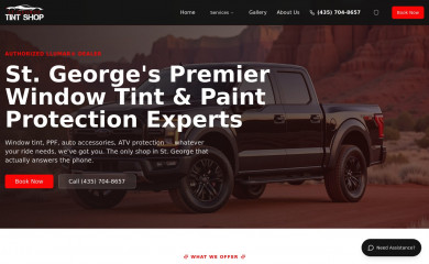 stgtintshop.com screenshot