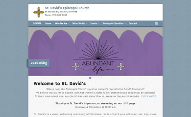 stdavidskinnelon.org screenshot