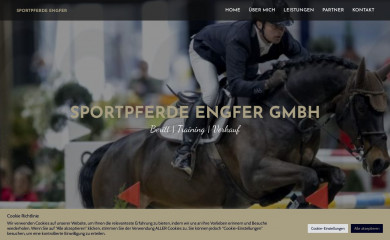 steffen-engfer.de screenshot