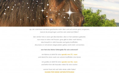 sternpferd.at screenshot