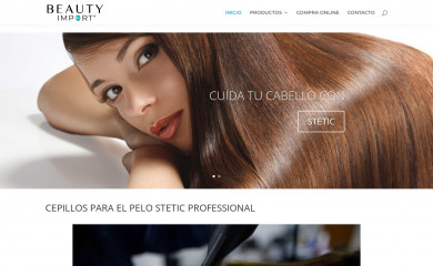 stetic.cl screenshot