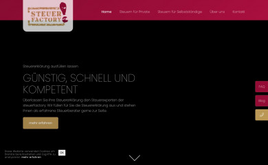 steuerfactory.ch screenshot