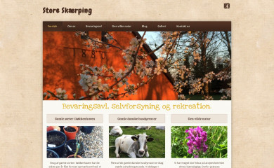 storeskaerping.dk screenshot