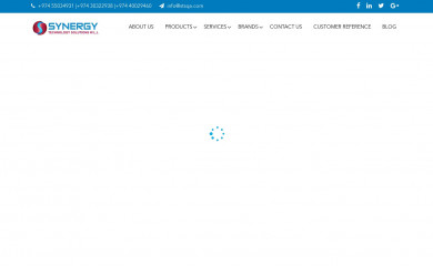 stsqa.com screenshot