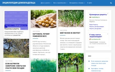 stroymanual.com screenshot