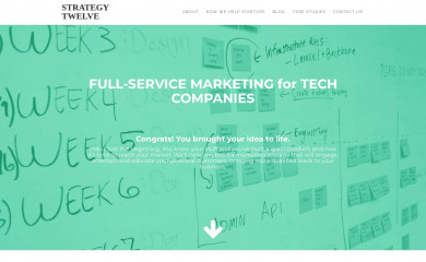 strategytwelve.com screenshot
