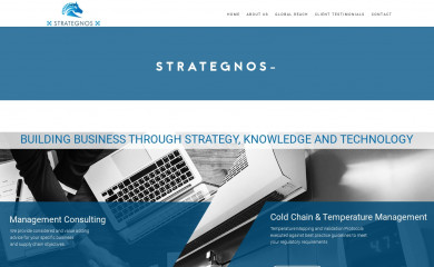 strategnos.com screenshot