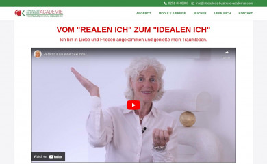 stresslessbusiness-academie.de screenshot