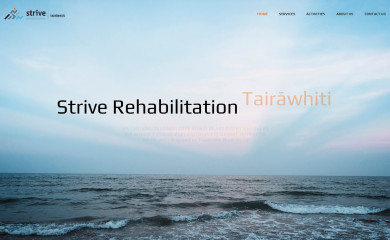 striverehabgis.nz screenshot