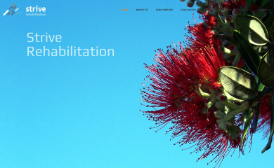 striverehabilitation.org.nz screenshot